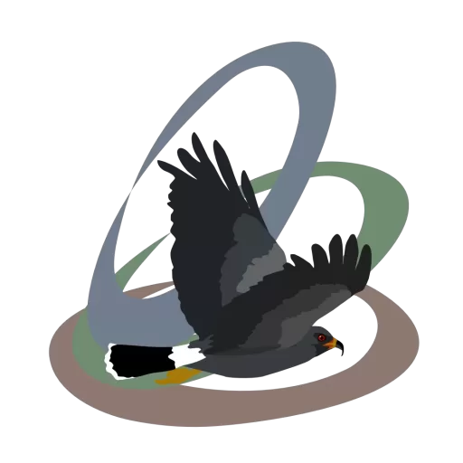 Life Bird List Telling Short Birding Stories Bird-related Products New Bird Species Western Birds Eastern Birds What is this bird