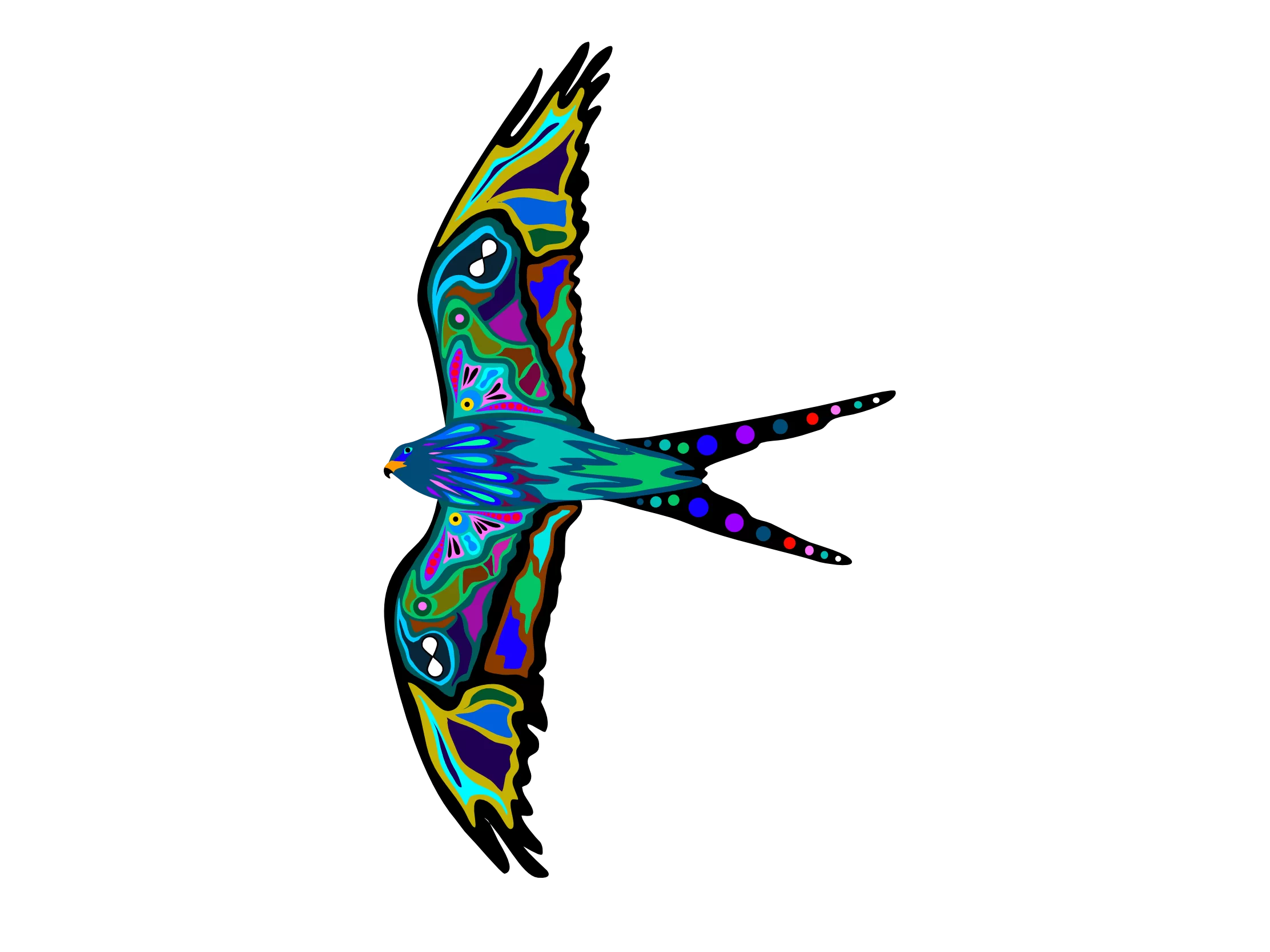Night Kite Life Bird List Speciations