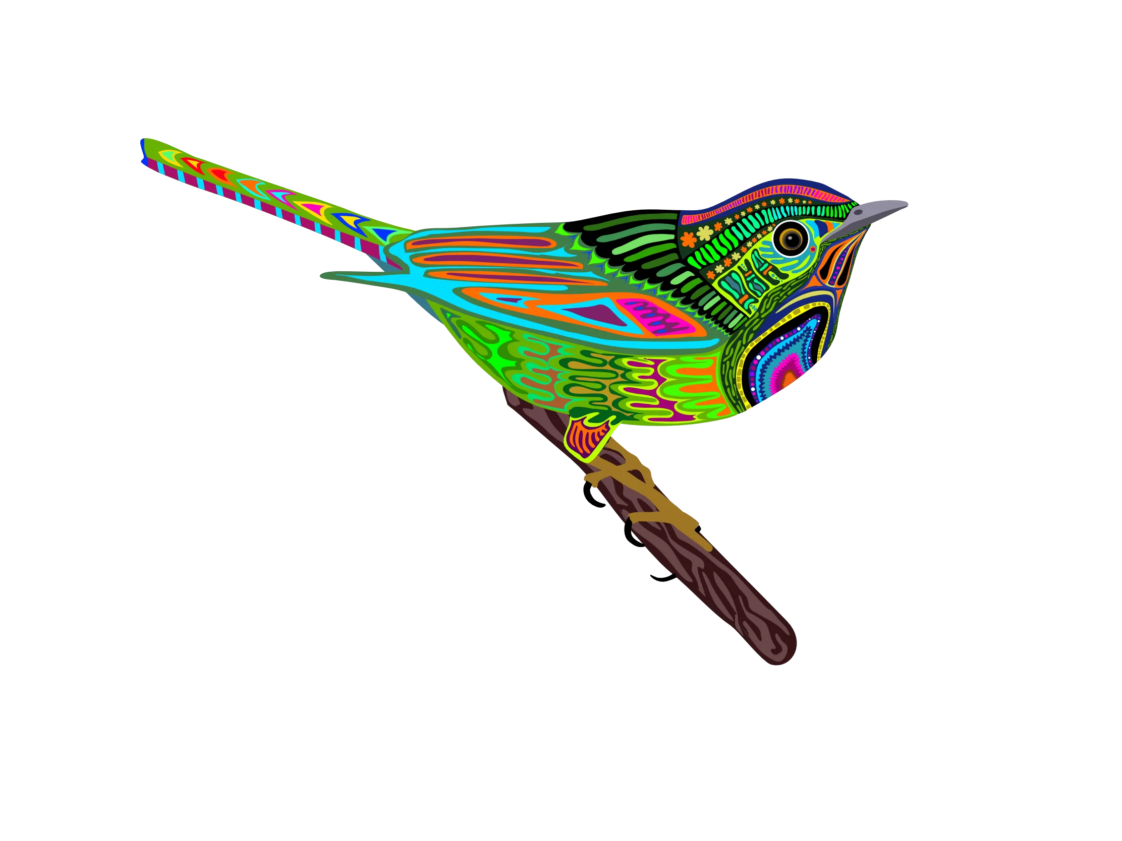 Speciation 3 Imaginary Bird Life Bird List